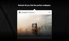 Unsplash media 3