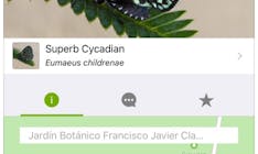 iNaturalist media 1