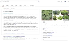Bing media 1